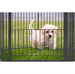 DogSpace King Mommy + Supreme Puppy Stay Kravlegård & Gitter Til Hund